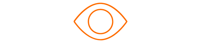 Überwachung Icon