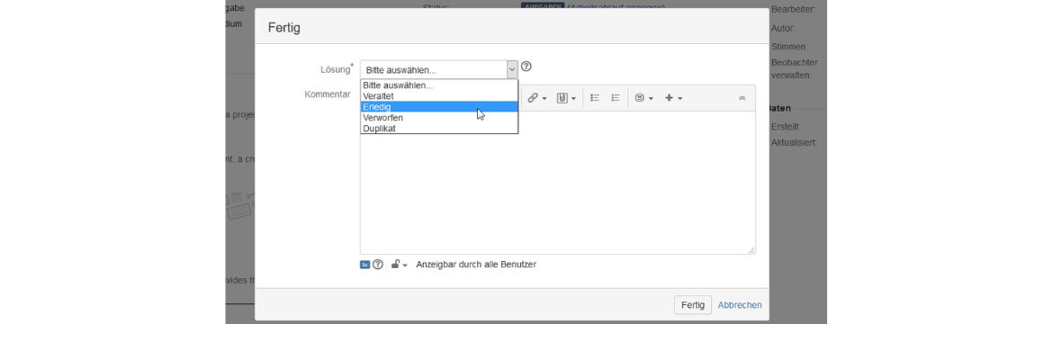 Atlassian JIRA : champ de solutions_limité aux options importantes